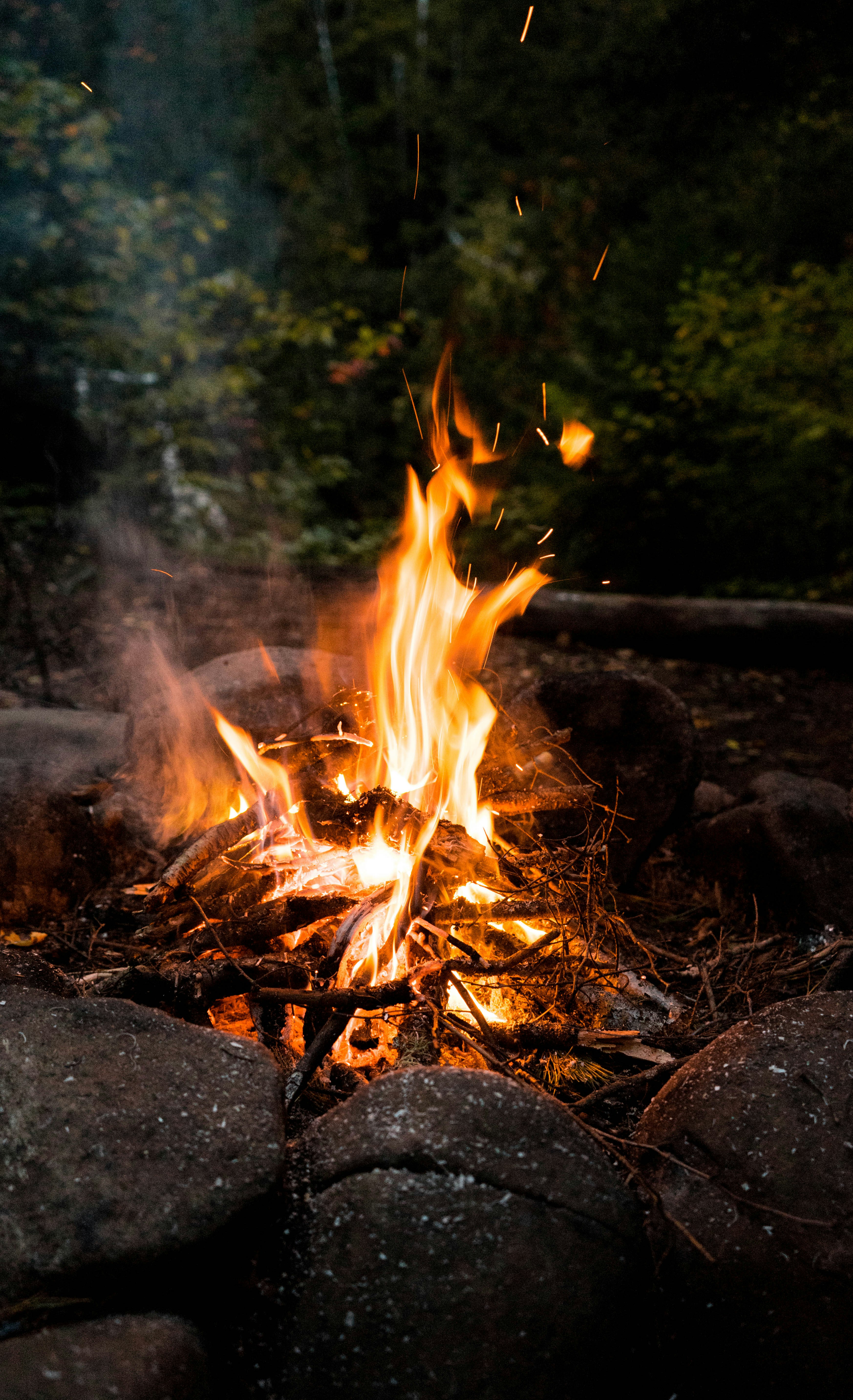 bonfire across green trees